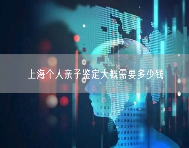 上海个人亲子鉴定大概需要多少钱