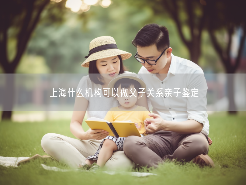 上海什么机构可以做父子关系亲子鉴定