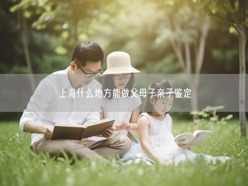 上海什么地方能做父母子亲子鉴定